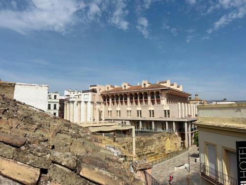 La Casa de Claudio Marcelo, Córdoba (foto 7)
