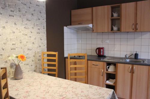 Küche, Ubytovani U Morisse in Stare Mesto Pod Sneznikem