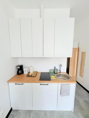 Quiet, Charming Studio Apartment on Ground Floor, Riga (fotografie 5)