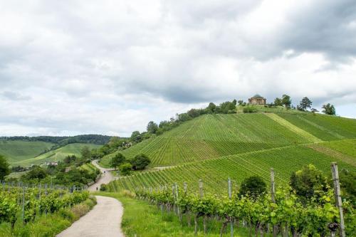 Apartment overlooking Stuttgart, Stuttgart (photo 9)