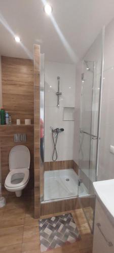 Noclegi Dobrzeń Wielki (Noclegi Dobrzen Wielki) in Brynica