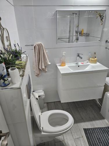 Holon Guest House, Rooms, Not a Hotel in 南特拉維夫