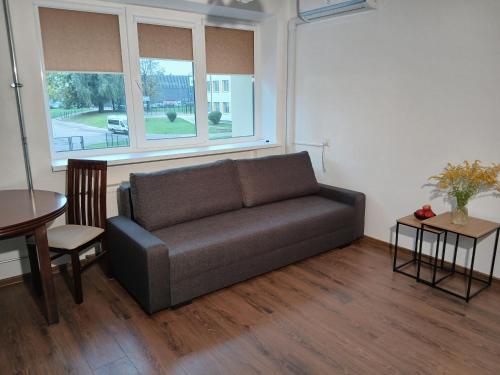 Alytus Studio 45 in 阿利圖斯