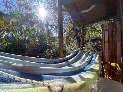 Η Χαρούμενη Αρκούδα (Η Χαρουμενη Αρκουδα) in 파블리아니