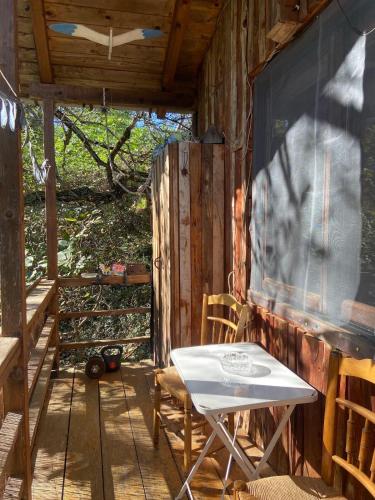 Η Χαρούμενη Αρκούδα (Η Χαρουμενη Αρκουδα) in 파블리아니