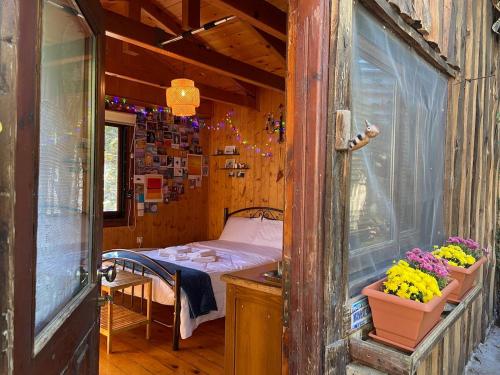 Η Χαρούμενη Αρκούδα (Η Χαρουμενη Αρκουδα) in 파블리아니