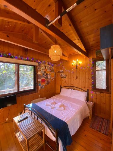 Η Χαρούμενη Αρκούδα (Η Χαρουμενη Αρκουδα) in 파블리아니