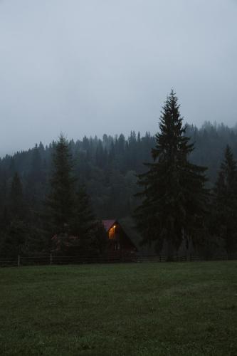 Садиба Урочище Луг, Worochta (zdjęcie 9)