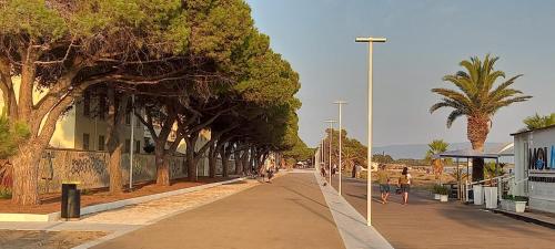 Il Giardino in Solarussa