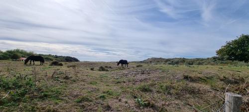 Chalet DuinDroom Renesse in Lagezoom