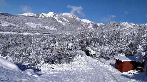 Sulut Guest House in Lahich