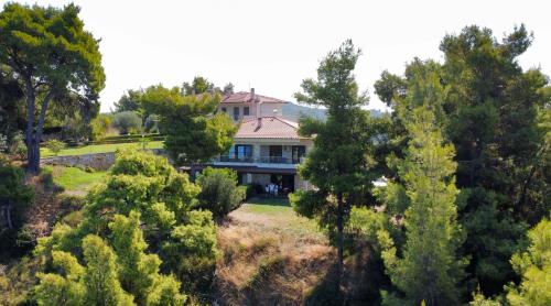 Poseidi - Villa Olivia, Possidi (foto 2)