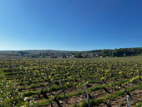 Au charme de Rilly in 永利拿蒙塔