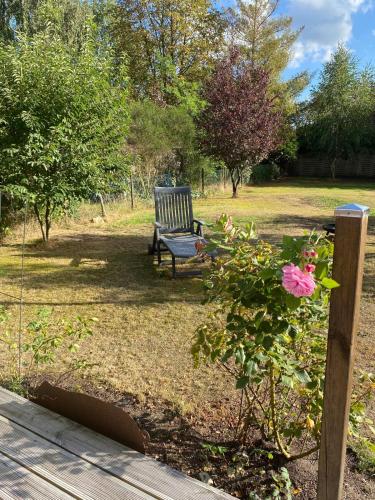 منظر, Ferienhaus in Stöckse (Ferienhaus in Stockse) in Steimbke