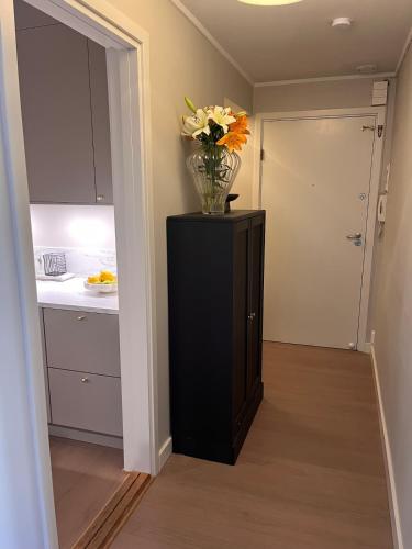 Beautiful and central apartment, Oslo (photo 2)