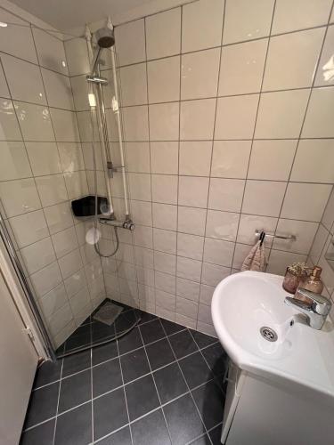 Beautiful and central apartment, Oslo (photo 3)
