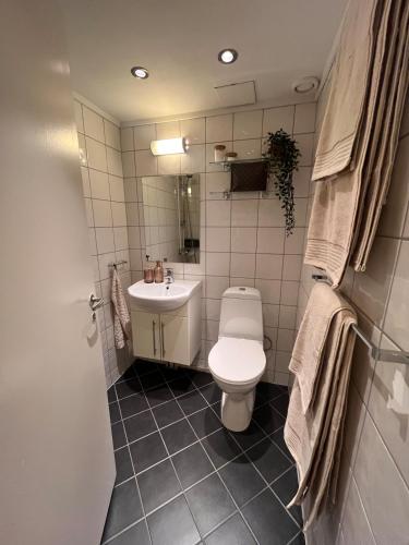Beautiful and central apartment, Oslo (photo 8)