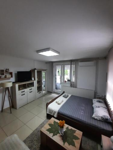 Apartman Fontana