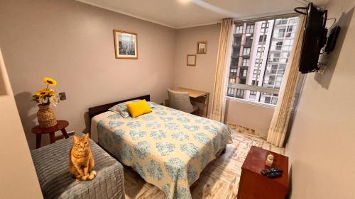 Barranco Aparments