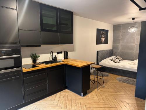 Apartamenty Szary Wilk - klimatyczne apartamenty typu studio dla 2 osób - BLISKO CENTRUM -BEZPŁATNY PARKING - image 2
