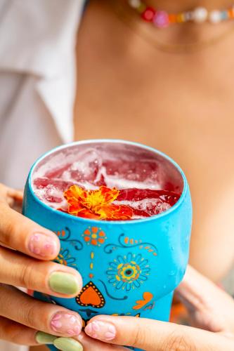 酒吧/高級酒吧, Hotel Isla Grande in 格蘭德島