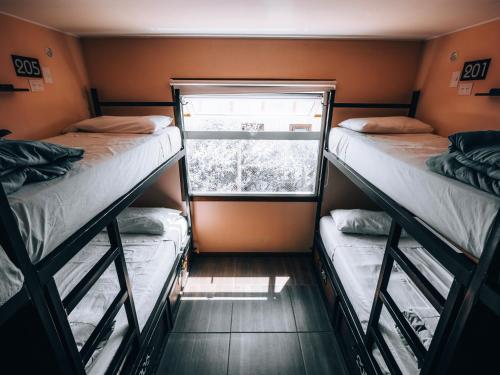 Folk Hostel in El Calafate