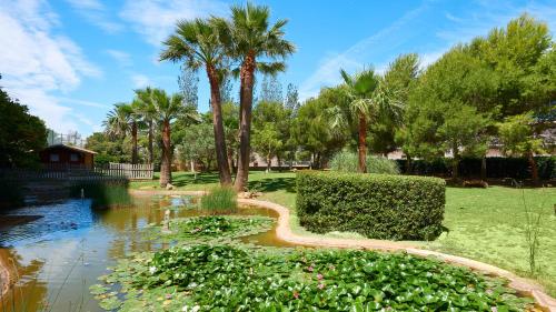 Hipotels Marfil Playa - image 3