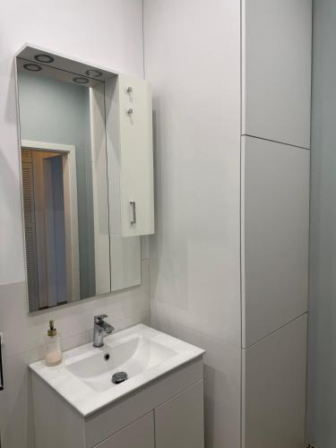Cozy Apartment near Łazienki Royal Park, Varšava (fotografie 9)