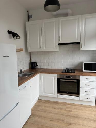 Cozy Apartment near Łazienki Royal Park, Varšava (fotografie 10)