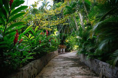 Hacienda Azucena Rio Grande El Yunque Rain Forest - image 2