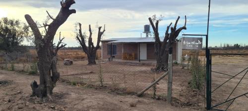 Los olivos in Rama Caida