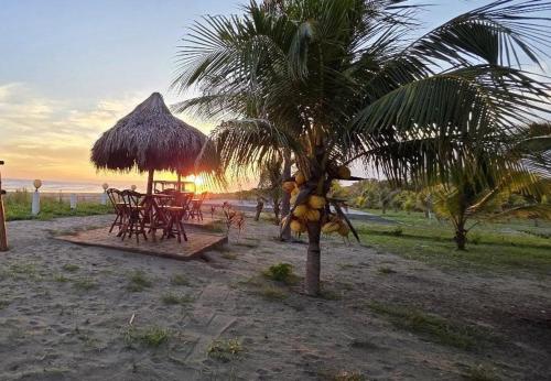 Coco Paradiso in Puntanata
