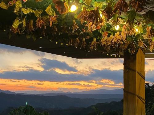 Hotel Campestre Morichal in Monterrey