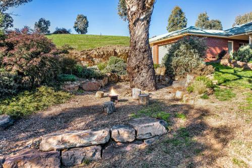 Dārzs, Someplace Else in Bonnie Doon