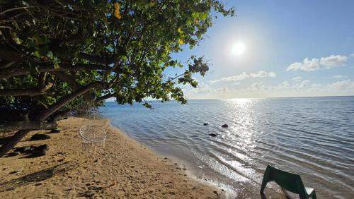 La Maison de l'Artiste in Hauru