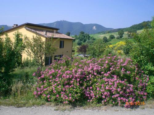 Case Crovina