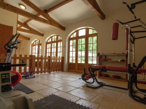 Luxurious Mansion in Saint-Preuil with Sauna - image 9