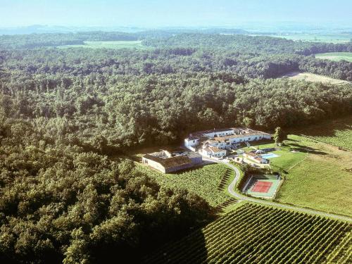 Luxurious Mansion in Saint-Preuil with Sauna - image 11