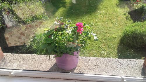 St. Aiden's Guesthouse - image 4