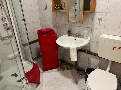 Pension Frosch Hostel, Berlin (zdjęcie 9)