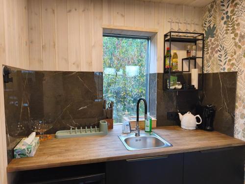 Metsamarja in Padaste