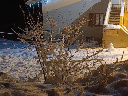 Les Etoiles de Bevy Gîte Lynx sauna privatif (Les Etoiles de Bevy Gite Lynx sauna privatif) in Septmoncel