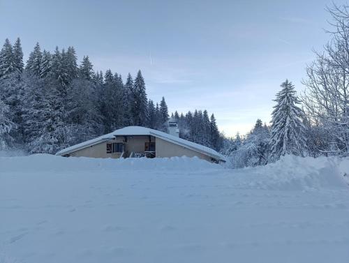 Les Etoiles de Bevy Gîte Lynx sauna privatif (Les Etoiles de Bevy Gite Lynx sauna privatif) in Septmoncel