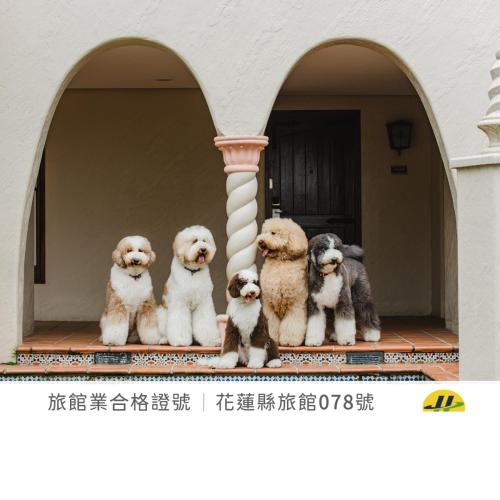 Promisedland Resort & Lagoon