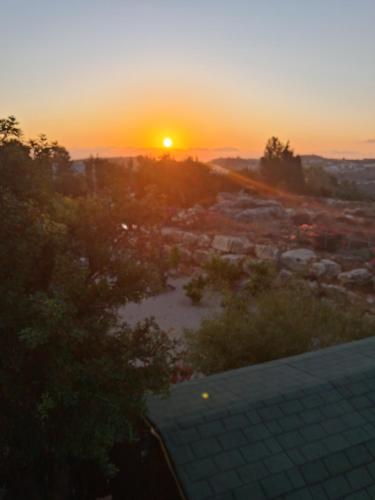 LEMON Tree, Kefar Weradim (photo 6)