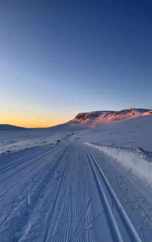 Beautiful apartment at Ustaoset in Ustaoset