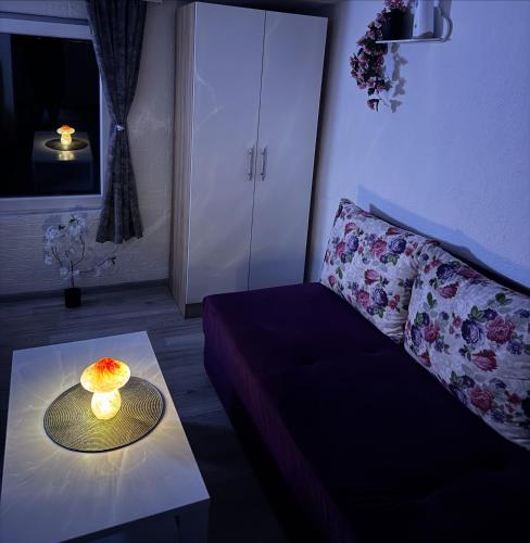 Georgeous lux apartment