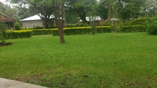 Quaint Serene Homes in Busia