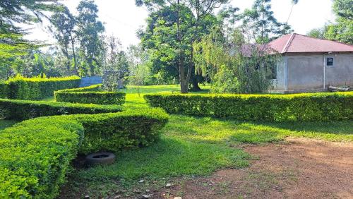 Quaint Serene Homes in Busia