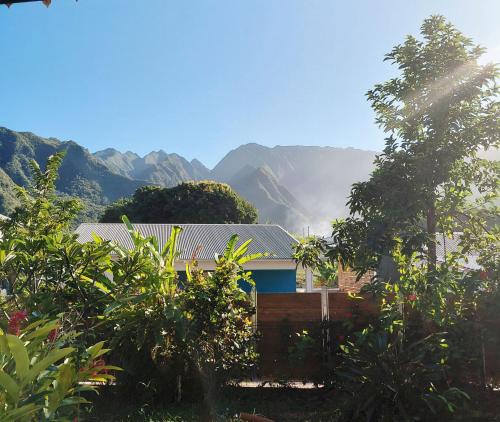 kaz frangipanier - Location saisonnière - Entre-Deux